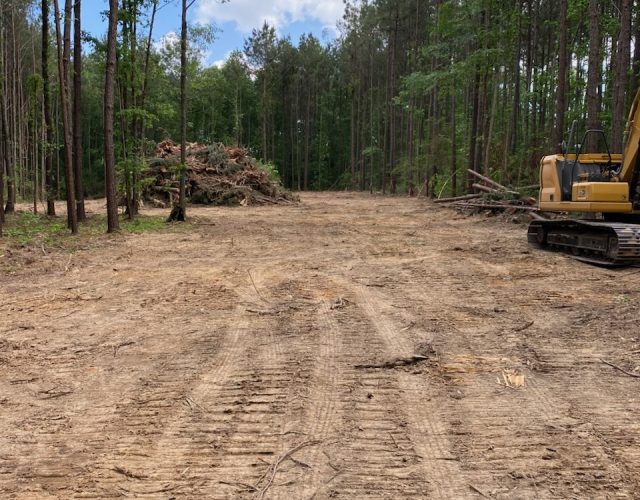 photo for landclearing arrowhead